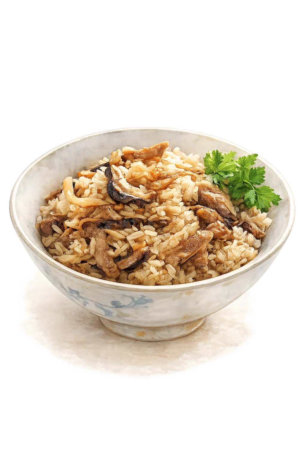 Shiitake sticky rice